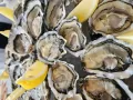Ostriche fresche al Tajer D'Oro