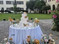 Matrimonio Elegante nella Villa Veneto